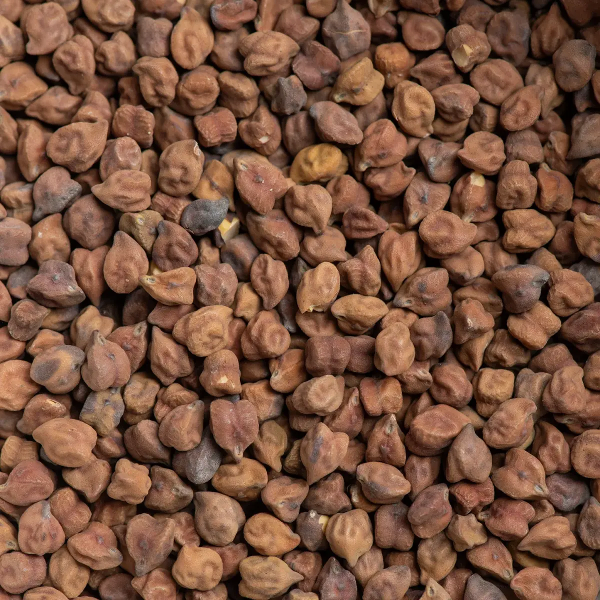 Black Chickpeas (Kala Chana)